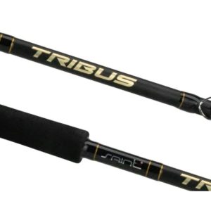 Vara tribus 661bc  -1,98 CARRETILHA